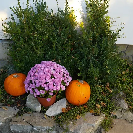 Kopec 67 Apartment *