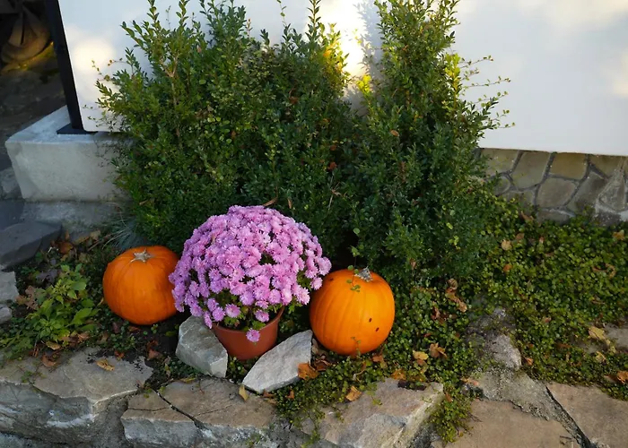 Kopec 67 Lägenhet *